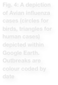 Fig. 4: A depiction of Avian influenza cases (circles for birds, triangles for human cases) depicted within Google Earth. Outbreaks are colour coded by date